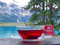 Whistler Tea Company