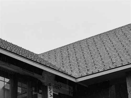 SMS10 snow clips with hidden fasteners on asphalt shingle roof