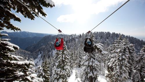 Gallery Image Grouse_3.jpg Gallery Image Grouse_3.jpg