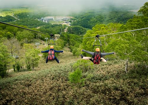 Gallery Image _59A3825.jpg Gallery Image _59A3825.jpg