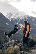 Modern Dog Training