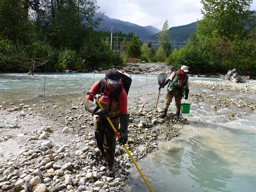 Gallery Image Fitzsimmons_Creek.JPG