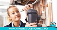 Service Plumber (Housing Available)