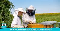 Whistler Personnel Solutions
