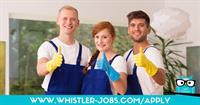 Professional Cleaner - PT