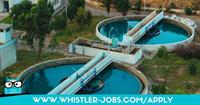 Whistler Personnel Solutions
