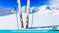 Whistler Personnel Solutions