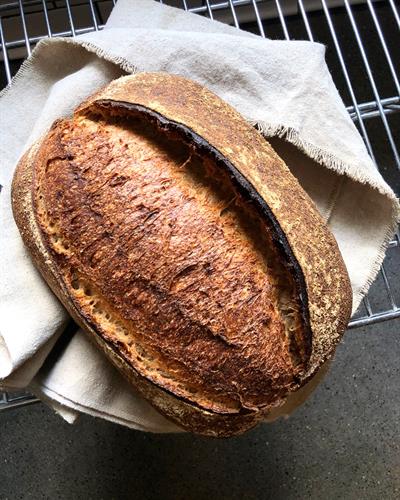 signature country sourdough loaf