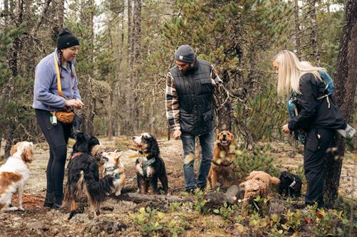 Gallery Image Background.jpg