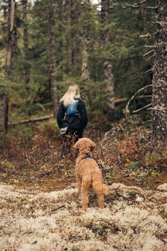 Gallery Image Private_Advernture_Walk.jpg