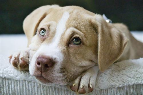 Those eyes? That’s why I do what I do.