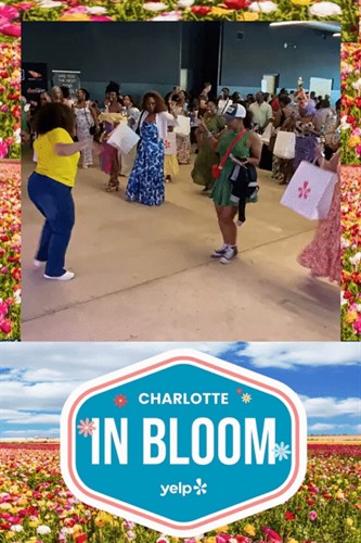 Custom Branded Roaming Photo Booth Overlay for YELP - April 2026
