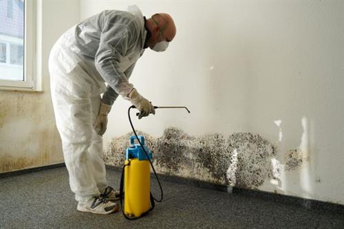 Mold Testing/Mold Remediation Mold Testing/Mold Remediation