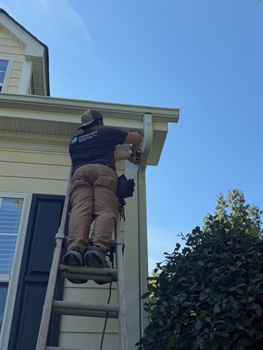 From top to bottom, New Light Services has you covered!