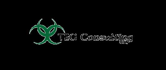 TEG Consulting, LLC