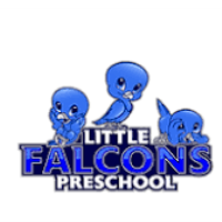 Little Falcons Preschool Summer Program
