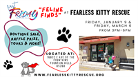 First Fridays: Feline Finds at Fearless Kitty Rescue