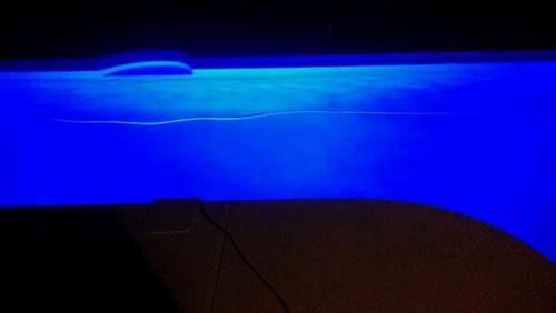 LED Low Voltage Color Changing Light - Blue