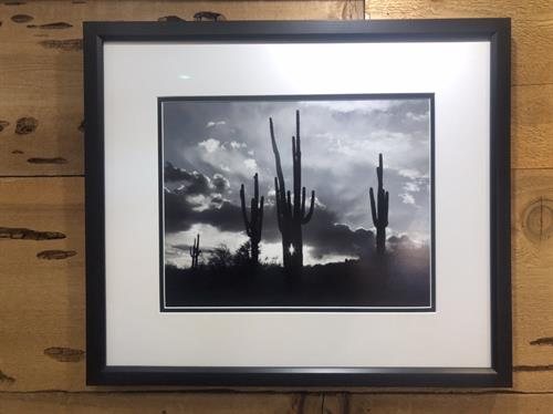 Framed photo, double mat, ultra view glass, available for purchase