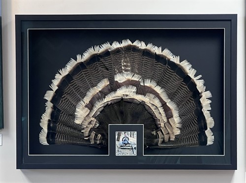 Gallery Image IMG_9111.jpeg