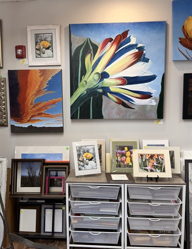 Art and photography for sale