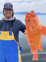 Fountain Hills Farmers Market