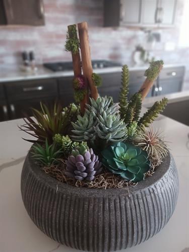 Indoor medium planter featuring premium succulents