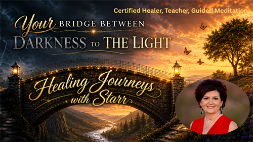 Gallery Image Bridge_Website_header.png