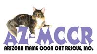 Arizona Maine Coon Cat Rescue
