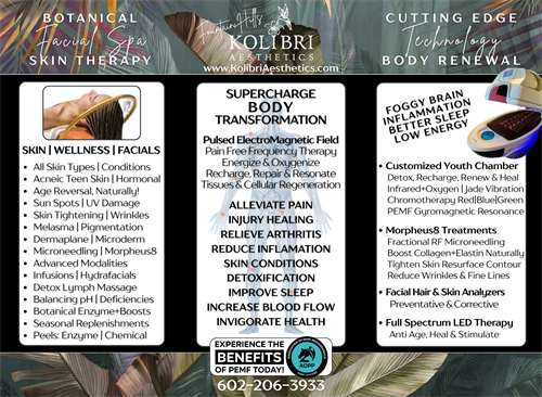 Gallery Image Trifold_Brochure.png