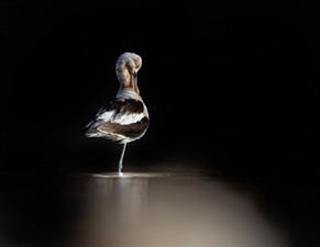 Christopher Forslund Photography