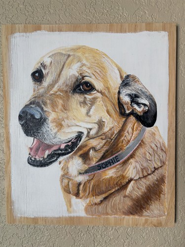 Speciality dog portraits