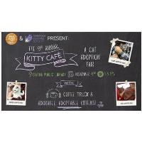 9th Annual Kitty Café