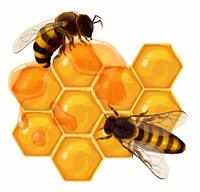 It's All About Honey!