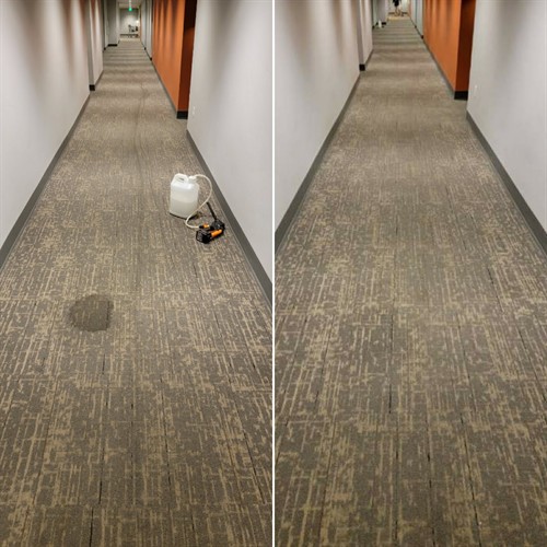 Multi-story Office Building Carpet Cleaning