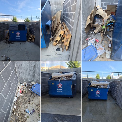Dumpster Cleaning / General Facility Cleaning