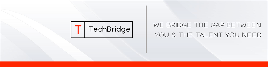 TechBridge Inc. TechBridge Inc.