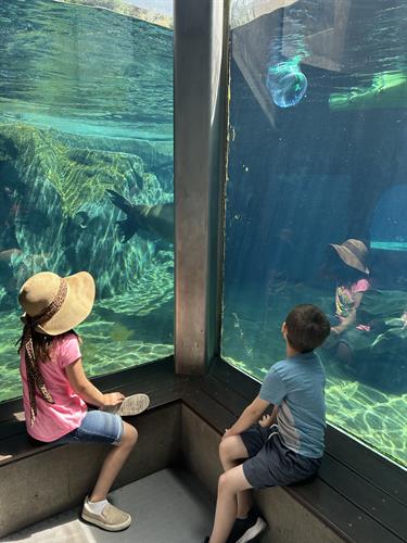 Two Youth at Aquarium