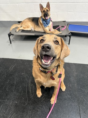 Gallery Image Image_20250924_170259_746.jpeg