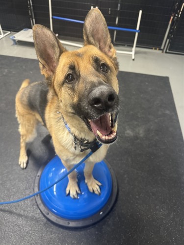 Gallery Image Image_20251124_173409_511.jpeg