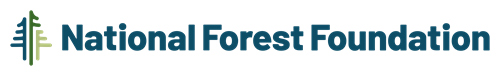 Gallery Image NFF_LOGO_FULLCOLOR_HORZ_SECONDARY_(1).png