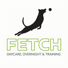 Fetch Daycare and Overnight