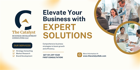 The Catalyst Business Development Consulting LLC The Catalyst Business Development Consulting LLC