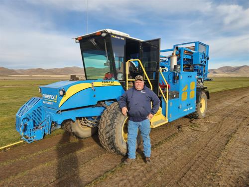 Firefly Automatic Sod Harvester