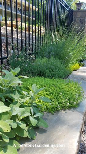 Herb gardens and Vegetable Gardens