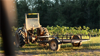 Gallery Image hab-wine-tractor.png