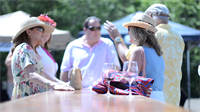 The Annual WineFest happens the first Saturday in May.