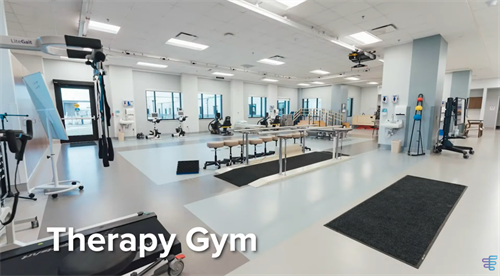 Therapy Gym