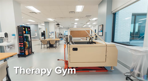 Therapy Gym 