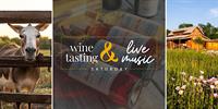 Wine Tasting and Live Acoustic Music by Dalene Richelle / Anna, TX